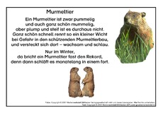 Murmeltier.pdf